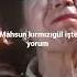 Mahsun Kırmızıgül Kardeşlik Türküsü