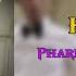 Pharrell Williams Happy Video