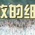 改革开放的细节 1 改开初期 中共高层急功近利大量引进设备和技术 但国内配套资金严重不够用 导致农业 轻工业和城市建设资金被挤压 政府不得不扩大开放力度 吸引外商投资 助理中国经济发展