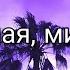 Wildcraft Клип Милая милая Mull3