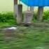 Gaov Me Barasat Badra Manoj Tiwari Song
