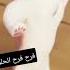 طلب خاص والأكثر فرح فرح الحلوة Funny Viral Wow ترند جوجو يوتيوب Shorts