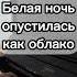 БЕЛАЯ НОЧЬ ОПУСТИЛАСЬ КАК ОБЛАКО Shorts