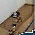 I Tried To Renovate Our Bedroom Here S What Really Happened