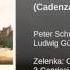 Laudate Pueri In D Major ZWV 81 Laudate Pueri Cadenza Ludwig Güttler