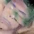 Segue Ramona A Stone I Am With Name