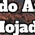 Ricardo Arjona Mojado Letra