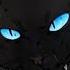 Коты воители Бич Песня I M Happy Эдит