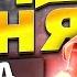 ГАЙД НА ИНЯ Решала на поле боя
