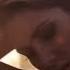 Manuel Riva Eneli Mhm Mhm Deeperise Jabbar Remix Video Edit