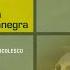 Simon Boccanegra Act I Scene 1 Come In Quest Ora Bruna Amelia