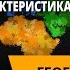Латинская Америка Комплексная характеристика стран Вест Индии