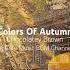 AutumnCafé Take A Moment To Unwind Among The Leaves With Soothing SmoothJazz In The Background