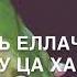 Ма къийса кхечуна дахар