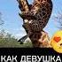 Мечты девушки о замужестве юмор Shorts Tiktok