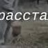 приходила ко мне делал больно тебе