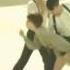 380ct 가인 Bad Temper