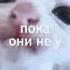 Grunge музыка Speedup Audio Music Edit Rock Fup Cover котик