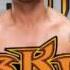 WWE Randy Orton The Voices Theme Song AE Arena Effects 2016