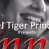 Jannat Chillout Remix Ft B Praak Jaani Ammy Virk DJ Tiger Prince