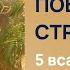 5 ВСАДНИК АПОКАЛИПСИСА