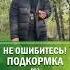 НЕ ОШИБИТЕСЬ Подкормка роз ВЕСНОЙ питомникросток питомникрастений саженцы розы