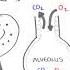 Oxygen Haemoglobin Dissociation Curve Physiology