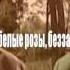 Белые розы Караоке