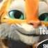Clip Vidéo Officiel Tiger Boo HD