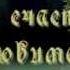 Белая волчица