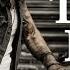 Get Ready To Texas Rock Metal Rock N Roll Outlaw Wild West Whisky Blues