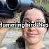 I Found A Hummingbird Nest It S Sooo Tiny Hummingbird Birdnest Homestead