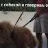 засади ей братишка