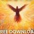 FREE EUPHORIC HARDSTYLE KICKS VOL 1 D Ego