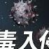 驚人預言 兩種新型冠狀病毒已經入侵人類 人貓狗都無法倖免 6月21日起 許多真相將被揭示 薇羽時光 第30期