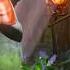 Zelda Breath Of The Wild How To Increase Hearts And Stamina