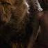Jungle Book 2016 Animals Vs Shere Khan