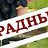 Кишмиши Аватар Ламборджини Парижские тайны и Рататуй