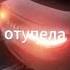 я захавал фенибут моя бошка отупела