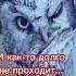 Привет Для настроения Тебе