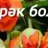 Туғулған күн муз Полат Изимов