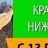 Топ 10 красивых девушек Нижнего Новгорода с 13 по 19 января 2020 года