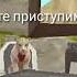 Что будет в развлекательной программе ЮбилейноеТоржество часть 2