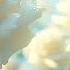 Beautiful Melodies That Make You Cry Music For The Soul Sergey Grischuk 7