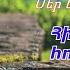 Դու իմ սրտում մաքուր վտակ Հին և սիրված հոգևոր երգեր Հովսեփ Սայադյան Կուզեմ ապրել Քեզնով միայն