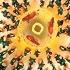 Mingle Game Hindi Version Squid Game Season 2 Round And Round Netflix Original Soundtrack