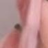 Belle Delphine 2 0 Fast And Forious