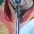 Lata Mangeshkar Dil To Pagal Hai