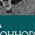 Альтернативные методы борьбы с патриархатом Невидимый город