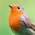 Light Pleasant Music For LIFE Gentle Music Calms The Nervous System And Pleases The Soul